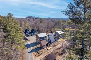 102 Pole Miller Ext, Brevard, NC 28712 - Photo 47