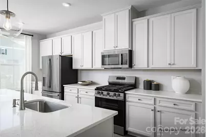 1046 Bracken Hill Road #3019C, Indian Trail, NC 28079 - Photo 3