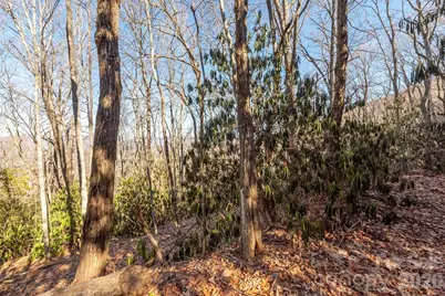 00 Wildflower Cove Road #18, Swannanoa, NC 28778 - Photo 29