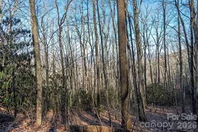 00 Wildflower Cove Road #18, Swannanoa, NC 28778 - Photo 33
