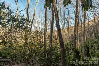 00 Wildflower Cove Road #18, Swannanoa, NC 28778 - Photo 35