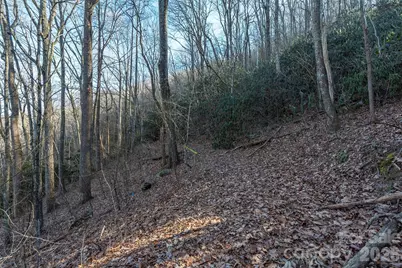00 Wildflower Cove Road #18, Swannanoa, NC 28778 - Photo 31