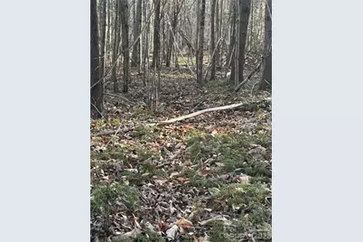 Lot 24 Double Eagle Drive #24, Nebo, NC 28761 - Photo 21