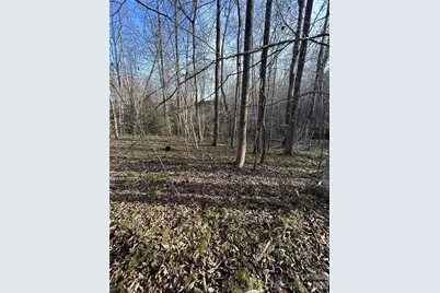 Lot 24 Double Eagle Drive #24, Nebo, NC 28761 - Photo 3