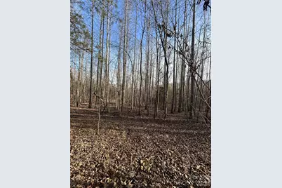 Lot 24 Double Eagle Drive #24, Nebo, NC 28761 - Photo 19