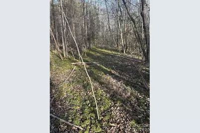 Lot 24 Double Eagle Drive #24, Nebo, NC 28761 - Photo 27