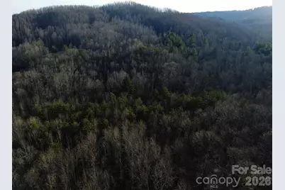 Lot 24 Double Eagle Drive #24, Nebo, NC 28761 - Photo 13