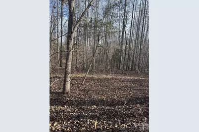 Lot 24 Double Eagle Drive #24, Nebo, NC 28761 - Photo 17