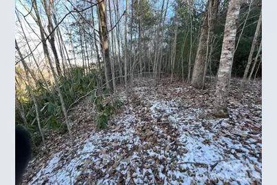 621 Round Top Road, Almond, NC 28702 - Photo 11