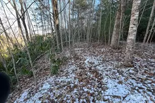 621 Round Top Rd, Almond, NC 28702 - Photo 11