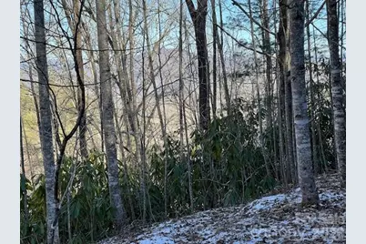 621 Round Top Road, Almond, NC 28702 - Photo 7