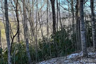 621 Round Top Rd, Almond, NC 28702 - Photo 7