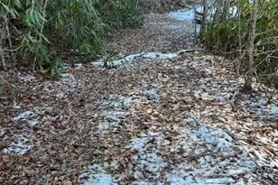 621 Round Top Rd, Almond, NC 28702 - Photo 5