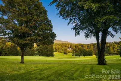 402 Vanderbilt Road, Asheville, NC 28803 - Photo 39