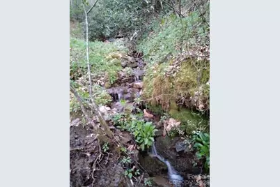 617 Barkers Creek Road, Whittier, NC 28789 - Photo 1