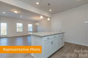 6104 Jasmine Br Rd, Charlotte, NC 28216 - Photo 7