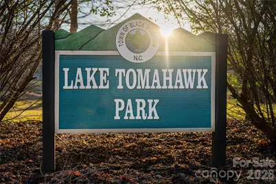 829 N Oconeechee Avenue, Black Mountain, NC 28711 - Photo 29