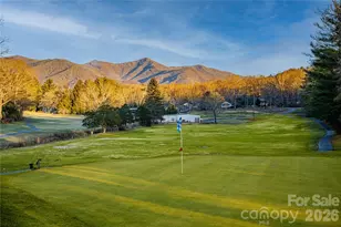 829 N Oconeechee Ave, Black Mountain, NC 28711 - Photo 33