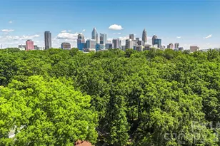 1610 Park Rd, Charlotte, NC 28203 - Photo 41