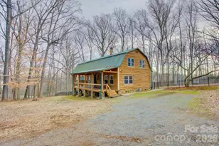 10538 Steele Trace Ct, Charlotte, NC 28278 - Photo 5