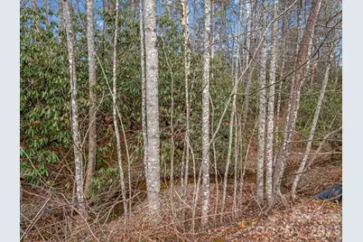 220 Jonathan Creek Drive, Etowah, NC 28729 - Photo 33