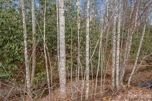 220 Jonathan Creek Dr, Etowah, NC 28729 - Photo 37