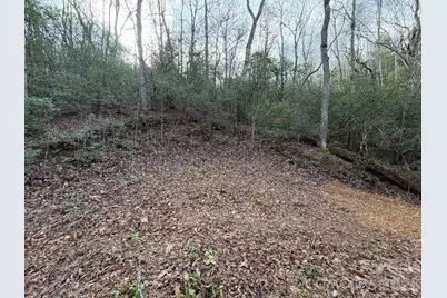 70 Knobby Lane, Franklin, NC 28734 - Photo 11