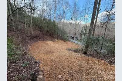 70 Knobby Lane, Franklin, NC 28734 - Photo 7