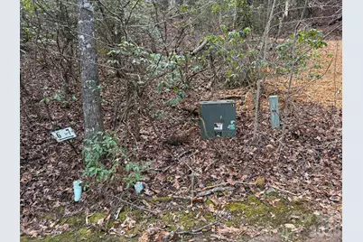 70 Knobby Lane, Franklin, NC 28734 - Photo 13