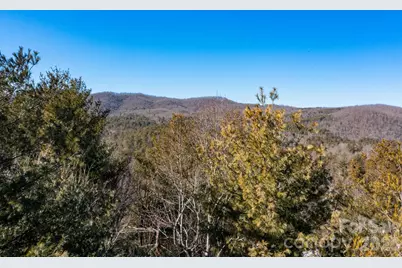 999 Trellum Trail #12, Hendersonville, NC 28739 - Photo 25