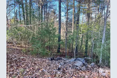 999 Trellum Trail #12, Hendersonville, NC 28739 - Photo 11