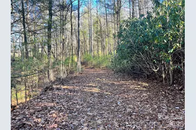 999 Trellum Trail #12, Hendersonville, NC 28739 - Photo 13