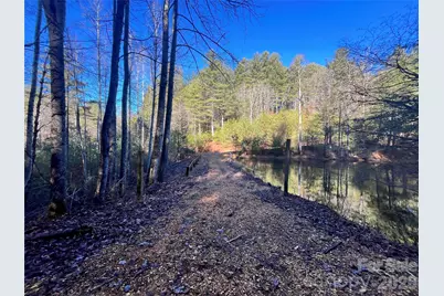 999 Trellum Trail #12, Hendersonville, NC 28739 - Photo 23