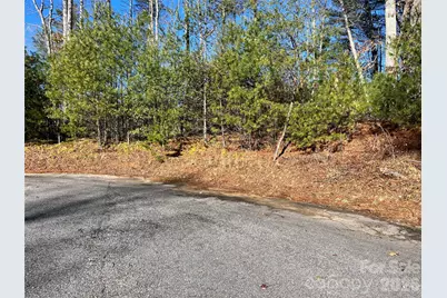 999 Trellum Trail #12, Hendersonville, NC 28739 - Photo 17