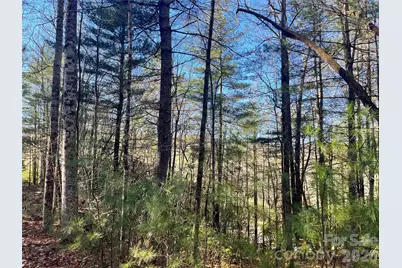 999 Trellum Trail #12, Hendersonville, NC 28739 - Photo 15