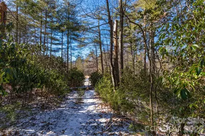 999 Trellum Trail #12, Hendersonville, NC 28739 - Photo 7