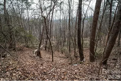 000 Pinnacle Parkway, Union Mills, NC 28167 - Photo 5