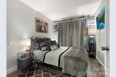 101 Sugar Ski Drive, Sugar Mountain, NC 28604 - Photo 13