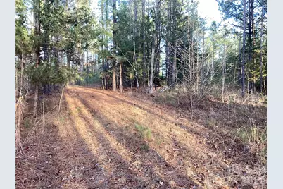 00 Pathway Lane, Chester, SC 29706 - Photo 33