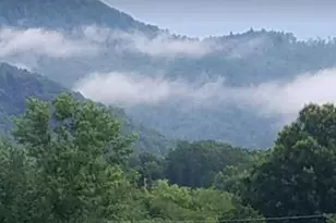 1304 Carbon City Rd, Morganton, NC 28655 - Photo 29