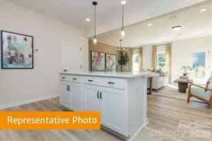 6101 Jasmine Br Rd, Charlotte, NC 28216 - Photo 5