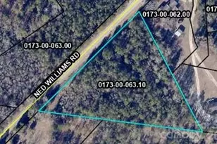 299 Ned Williams Rd, Kershaw, SC 29067 - Photo 15