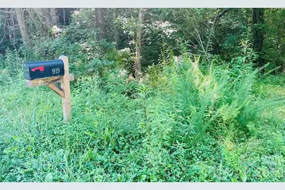 919 Panther Top Road, Murphy, NC 28906 - Photo 3