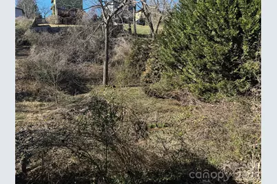 56 Moore Avenue, Asheville, NC 28806 - Photo 17