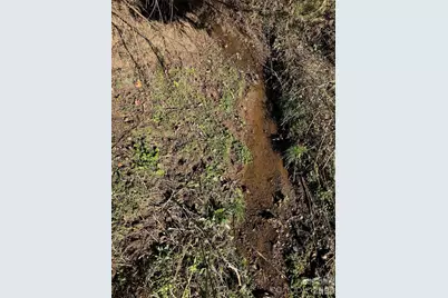 56 Moore Avenue, Asheville, NC 28806 - Photo 23