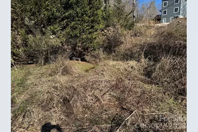 56 Moore Avenue, Asheville, NC 28806 - Photo 19