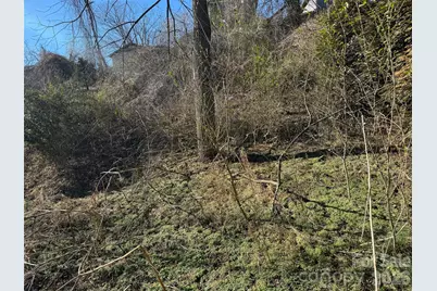 56 Moore Avenue, Asheville, NC 28806 - Photo 25