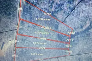 000 E Bells Branch Rd, Blacksburg, SC 29702 - Photo 1