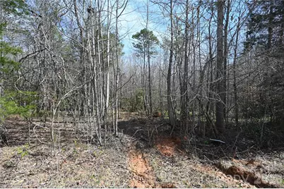 000 E Bells Branch Road #4, Blacksburg, SC 29702 - Photo 3