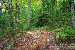 410 Rockwood Dr, Hendersonville, NC 28792 - Photo 39